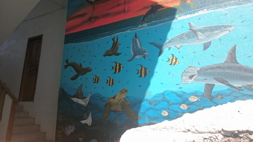 Casa De Celeste Puerto Baquerizo Moreno Dış mekan fotoğraf